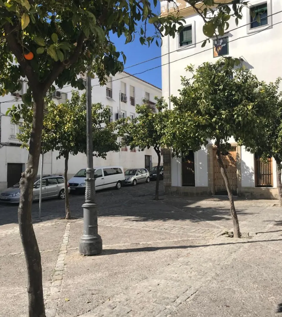 Apartamento !!Vive Jerez!! Jerez de la Frontera Apartment
